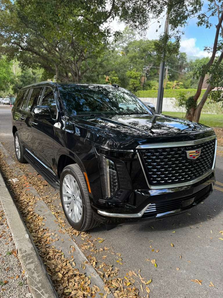 WhatsApp Image 2026-02-21 at 11.35.36 PM