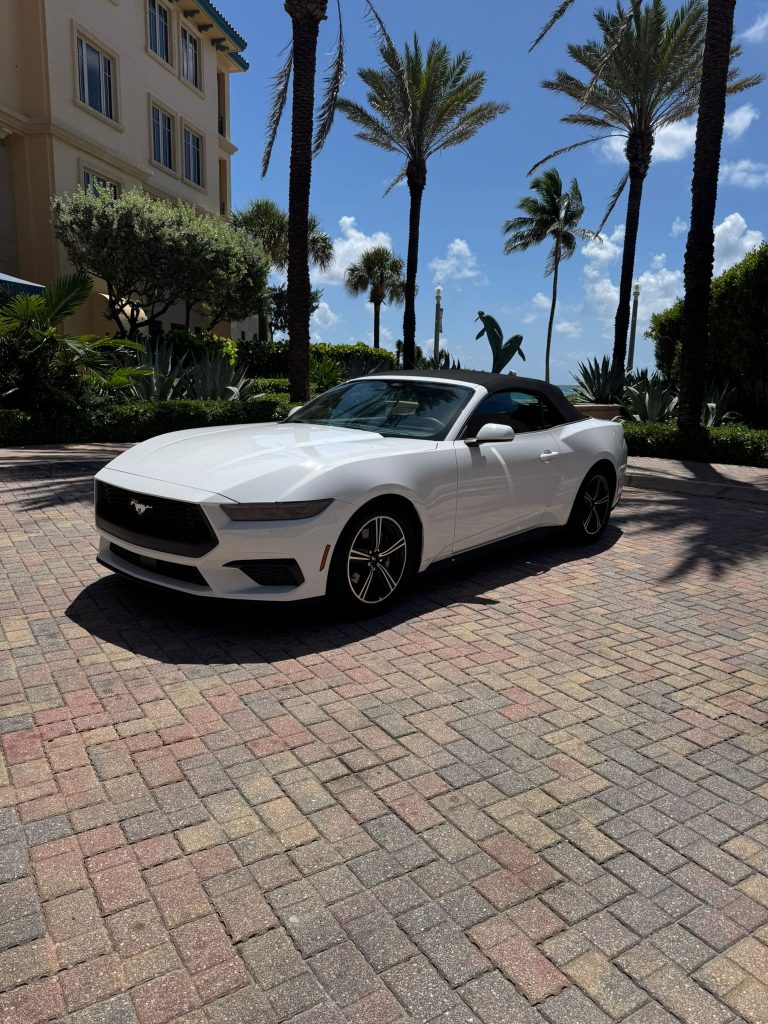 WhatsApp Image 2025-06-18 at 21.31.00