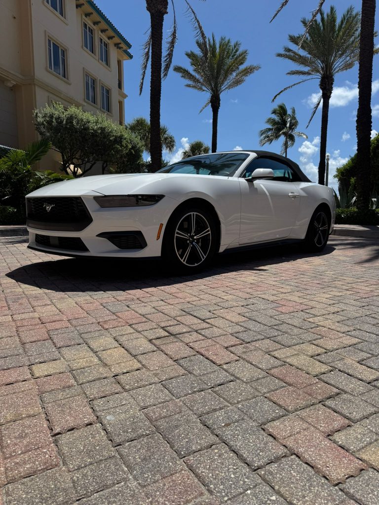 WhatsApp Image 2025-06-18 at 21.31.01 (3)