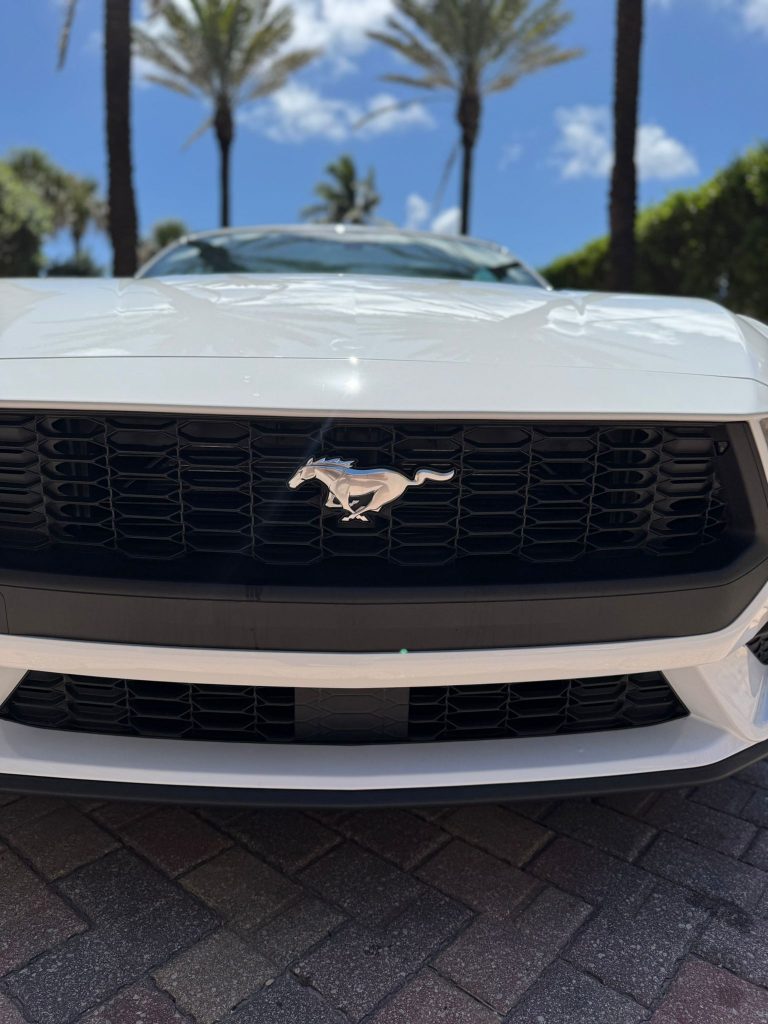 WhatsApp Image 2025-06-18 at 21.31.03 (4)