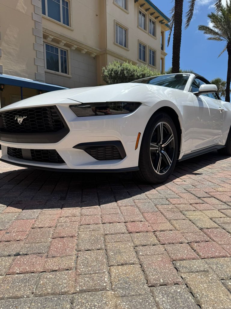 WhatsApp Image 2025-06-18 at 21.31.03