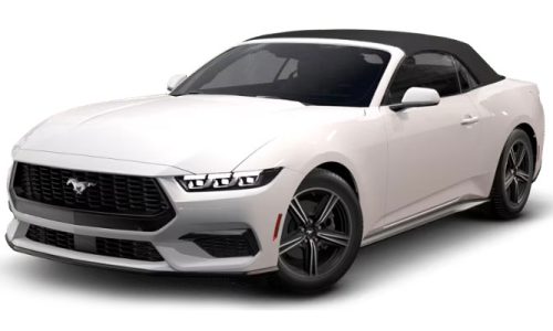 6mq95b9ftj1i3k9sdy4ddpjhg2px