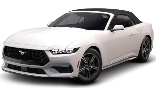 6mq95b9ftj1i3k9sdy4ddpjhg2px