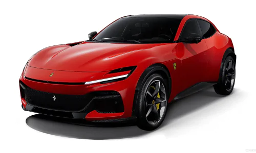 purosanguesuvrossocorsa